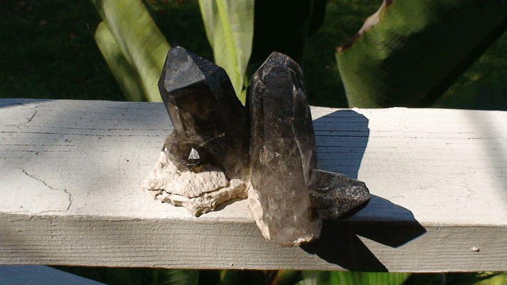 This is a deeply colored natural smokey quartz cluster.